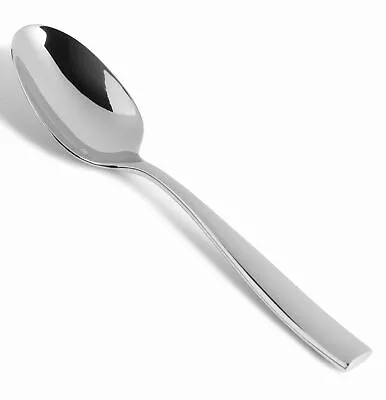 Fortessa Lucca 18/10 Stainless Steel Flatware Serving Spoon 9.7-Inch • $27.83