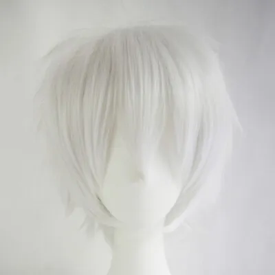 Men Male Short Full Wigs Boys Anime Cosplay Costume Party Synthetic Hair Wig Set • $14.99