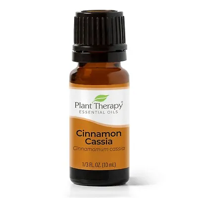 Plant Therapy Cinnamon Cassia Essential Oil 100% Pure Undiluted Natural • $9.99