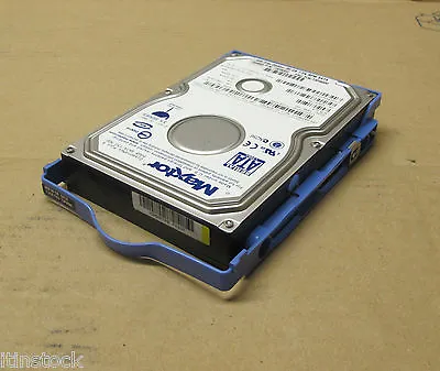 Maxtor Diamond Max Plus 9 - 3.5  80GB 7.2K SATA Hard Drive HDD 71P7293 71P7292 • £24