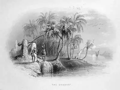 Egypt SHADOOF IRRIGATION TOOL NILE RIVER WELL SWEEP ~ 1850 Art Print Engraving • $7.99