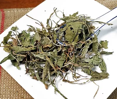 蒲公英 Pu Gong Ying / Herba Taraxaci / Mongolian Dandelion Herb • $29.99