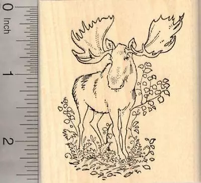 Moose Rubber Stamp K20001 WM • $21