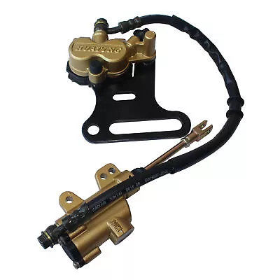 Rear Hydraulic Disc Brake Caliper System For 150cc 250cc Thumpstar Pitpro Moped • $38.95