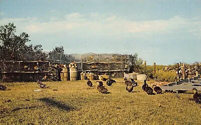 Tangier Island Va~a Typical Scene-tools Of The Trade-crab Pots & Floats~postcard • $5.98