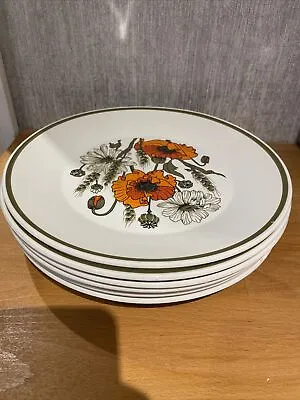 J & G Meakin Poppies Dinner Plate Price Is For 1 Plate Multi-buy Available. • £3.99
