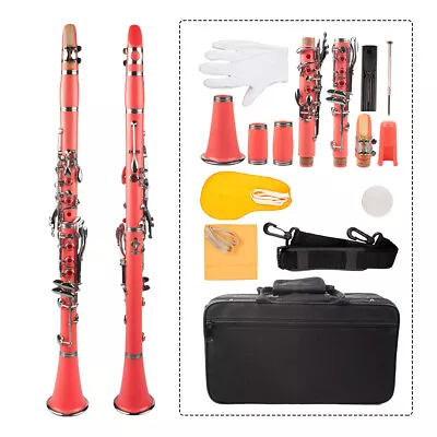 Pink ABS Clarinet Bb Cupronickel Nickel 17 Key Screwdriver With Cleaning Tool • $208.83