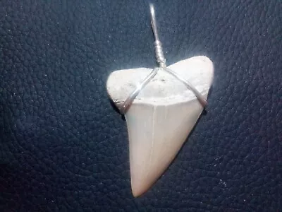 Absolutely Beautiful 1.7 Mako Shark Tooth Pendant With Sterling Silver Hand Wrap • $22.99