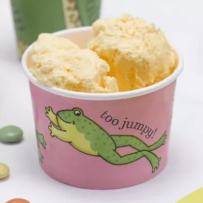 Dear Zoo Party Paper Ice Cream Tubs - Animals Kids Party • £2.99