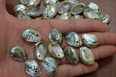 12 Pcs Small Mini Green Abalone Shell Beads Charms 1  #t-2108 • $6