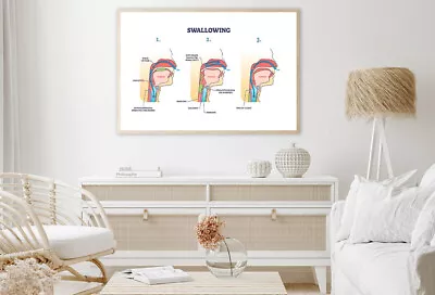 Swallowing Process Explanation Print Premium Poster High Quality • $17.55