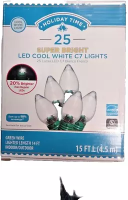 NEW Holiday Time Super Bright LED Cool White C7 Lights 25 Count Cool White • $17.59