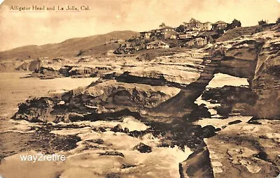 Postcard CA La Jolla Alligator Head And View Of La Jolla California Circa 1910 • $8.99