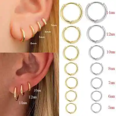 1Pair Huggie Earrings Surgical Steel Hoop Earrings Ear Stud Hinged Ring Unisex • $4.50