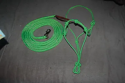 14' Lime Green Lead Rope With Bull Snap & Training Halter For Parelli Method • $44.95