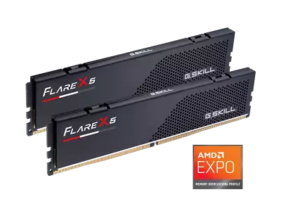 G.SKILL Flare X5 32GB (2 X 16GB) 288-Pin PC RAM DDR5 6000 (PC5 48000) Memory • $109.99