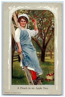 1910 A Peach In An Apple Tree Girl Picker Fruit Ladder Humor Antique Postcard • $9.72