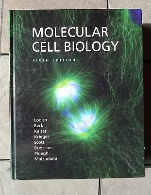 Molecular Cell Biology By Arnold Berk Matthew P. Scott Harvey Lodish Chris A. • $22.86