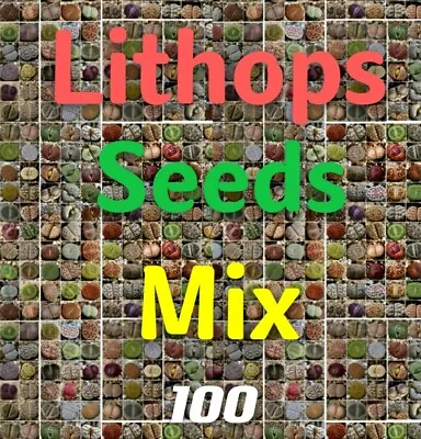 $12.99 • Buy SEEDS-Mesembs- Color Lithops  Living Stones  MIX 100 Seeds