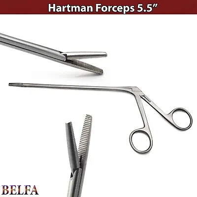 Hartmann Alligator Forceps ENT Surgical Ear Serrated Tip Lab Instruments • £6.99