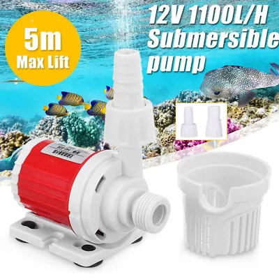 1100L/H Water Pump DC12V 20W Submersible Mini Fish Tank Fountain Pump W/ Nozzle • £10.99