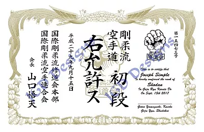 Martial Arts / Karate / Goju-Ryu Style Certificate Template • $85