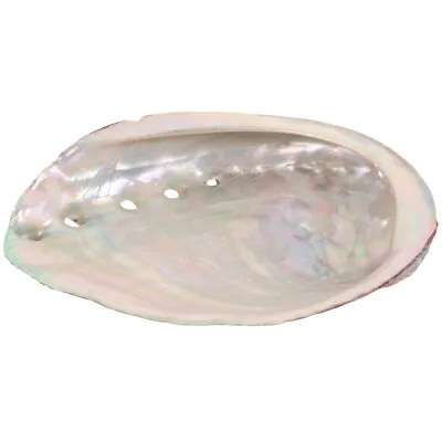 Aromatherapy Stand Home Accents Decor Sea Water Abalone Shell • £5.85