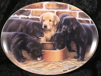 £5 • Buy Franklin Mint Five & Dine Nigel Hemming Plate Labrador Retriever Trio Dog 
