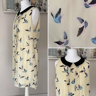 Zara Womens Bird Print Cream Dress Cream EUR Large L  Knee Length Collar Detail • £12.99