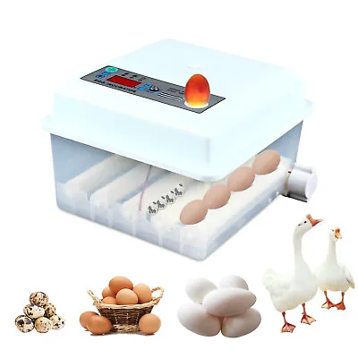 Mini Egg Incubators Constant Temperature Bird Chicke Duck Egg Incubation Box • $43.70