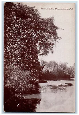 1914 Nature Scene On White River Muncie Indiana IN Antique Posted Postcard • $14.98