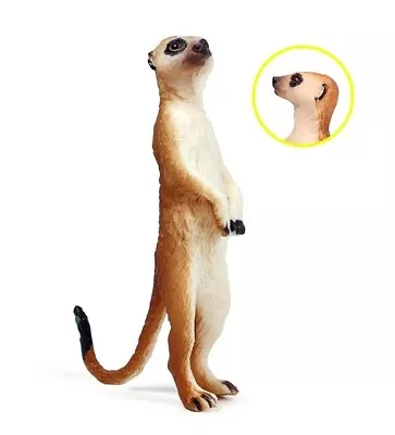 Meerkat Wild Animal Toy PVC Action Figure Kids Toys Party Gifts • $6.19