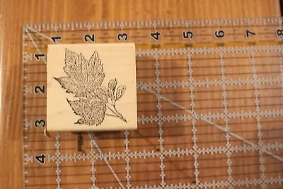MAGENTA Maple Leaf Leaves Fall Autumn Sketch Tree  Wood Rubber Stamp T • $6