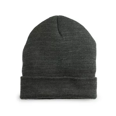 Mens Dk Gray Tek Gear Thinsulate Insulated Watchcap Knit Hat Beanie One Size NEW • $8.89