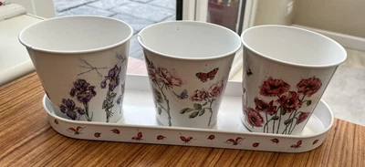 £9.95 • Buy Wrendale Herb Pots And Tray – Set Of 3 Bee Butterflies And Dragonflies Designs