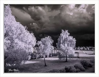 £299 • Buy Converted Infrared IR 720nm Panasonic GF6 Mirrorless M43 16MP Camera  944