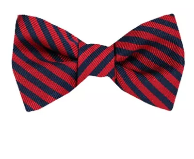 Men's 100% Silk Designer Self Tie Striped Woven Bowtie- NWT • $14.95