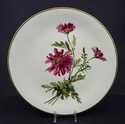 £161.06 • Buy Antique Mintons Cabinet Plate, Chrysanthemums