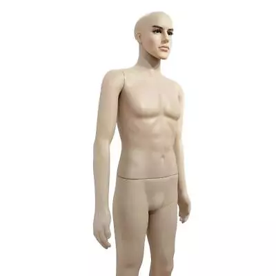 6FT Male Full Body Realistic Mannequin Head Turns Dress Form + Base • $72.99