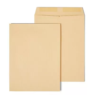 MyOfficeInnovations Catalog Envelopes 9  X 12  Brown Kraft 100/Box 194969 • $18.15