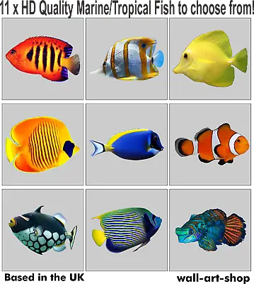 FULL COLOUR MARINE FISH TILE STICKERS - Waterproof - Glass/ceramics/walls/metal • £5.40