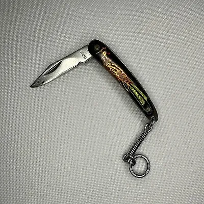 Vintage Antique Mini Miniature CHINA Peacock Pocket Knife 1   Blade • $13.80