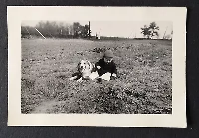 Small Antique Photograph Of Little Boy With Collie Or Shepherd Type Dog On Farm • $5.85