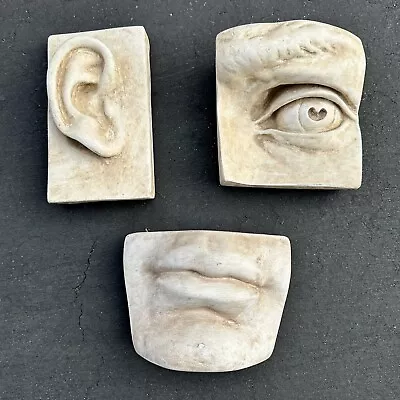 Michelangelo's David Face Art Wall Pottery Sculpture Eye Ear And Mouth • $79.95