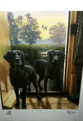 £120 • Buy Early Risers By Nigel Hemming Limited Edition Black Labradors