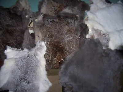 Lot Of 50 Rabbit Pelt Hide Fur For Crafts Decretive Natural Colors • $219