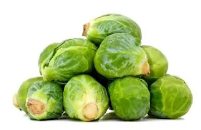 £3.99 • Buy Organic BRUSSEL SPROUT Seeds - CASIOPEA - Heirloom Non-GMO Seeds X50
