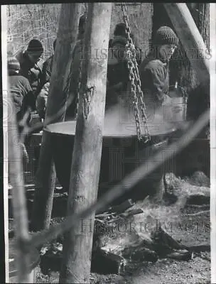 1973 Press Photo MAPLE SYRUP XYLEM SAP MAPLE TREES - RRS41953 • $16.99