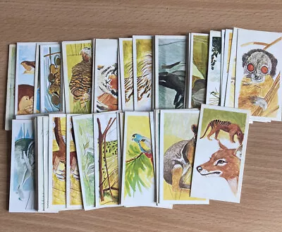 Vanishing Wildlife - Brooke Bond Tea Cards - Pick Your Cards • £0.99