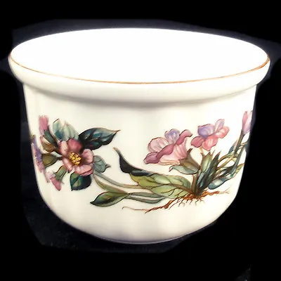 BOTANICA By Villeroy & Boch Ramekin Baker NEW NEVER USED Made In Luxembourg • $24.99